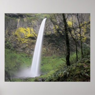 OR, Columbia River Gorge, Elowah Falls, McCord Poster