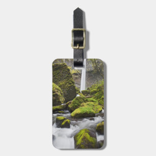 OR, Columbia River Gorge, Elowah Falls und Gepäckanhänger
