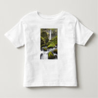 OR, Columbia River Gorge, Elowah Falls und