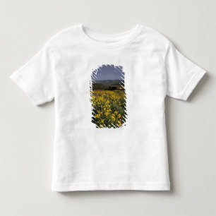 OR, Columbia River Gorge, Rowena-Plateau, Tom Kleinkind T-shirt
