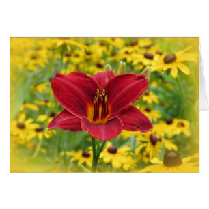 Or écarlate - Daylily