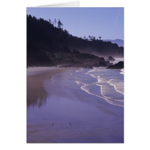 OR, Ecola SP, Indian Beach mit Morgennebel