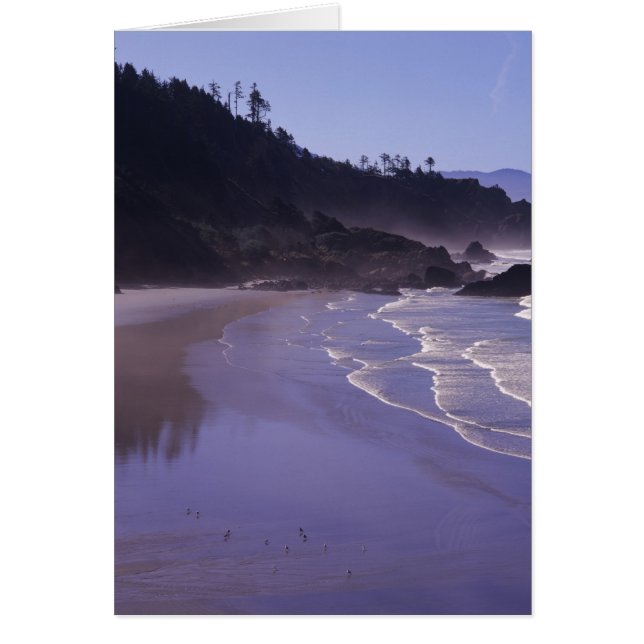 OR, Ecola SP, Indian Beach mit Morgennebel (Vorne)