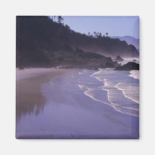 OR, Ecola SP, Indian Beach mit Morgennebel Magnet (Vorne)