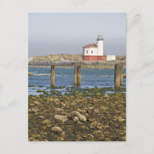 OR, Oregon Coast, Bandon, Coquille River 2 Postkarte