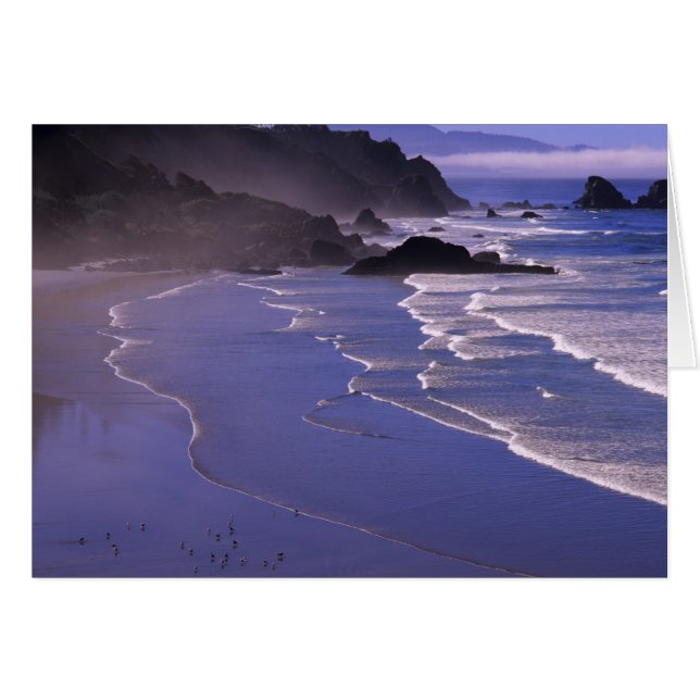 OR, Oregon Coast, Ecola SP, Indian Beach mit (Vorderseite (Horizontal))