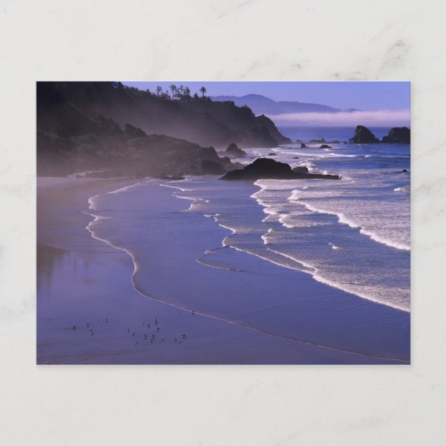 OR, Oregon Coast, Ecola SP, Indian Beach mit Postkarte (Vorderseite)