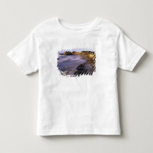 OR, Oregon Coast, Newport, Küstenlinie am Siegel Kleinkind T-shirt