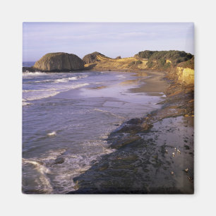 OR, Oregon Coast, Newport, Küstenlinie am Siegel Magnet
