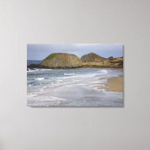 OR, Oregon Coast, Siegel Rock Staat Park, Leinwanddruck