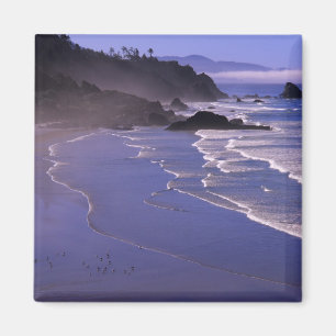OR, Oregon-Küste, Ecola SP, Indian Beach mit Magnet