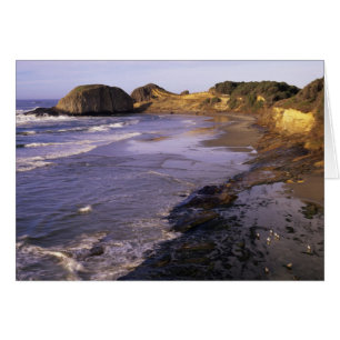 OR, Oregon-Küste, Newport, Küstenlinie bei Seal