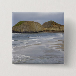 OR, Oregon-Küste, Seal Rock State Park, Button