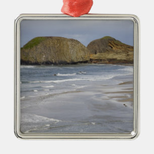 OR, Oregon-Küste, Seal Rock State Park, Silbernes Ornament