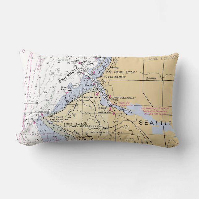 OR_Seattle_Lumbar_ShilsholeBay Lendenkissen (Vorderseite)