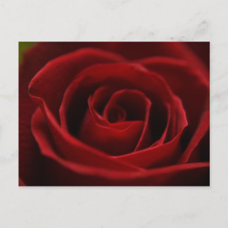 Oral rote Postkarte