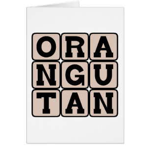 Orang-outan, grand singe d'Asie