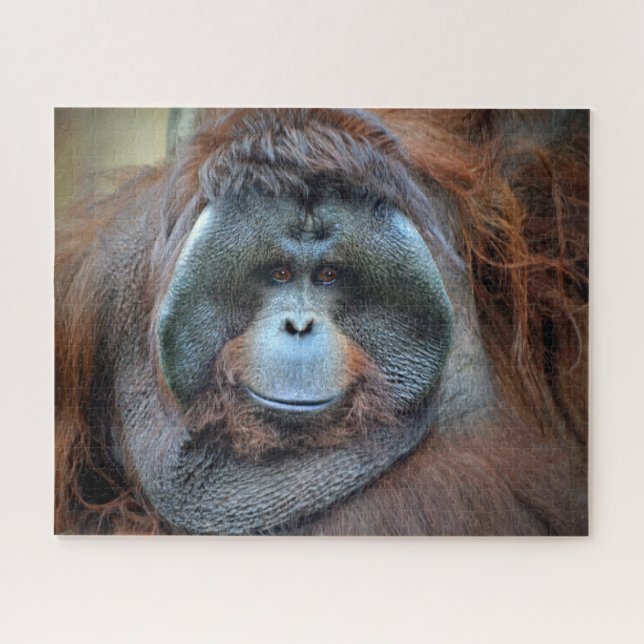Orang-Utan (Horizontal)