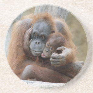 Orang Utan 001 Getränkeuntersetzer