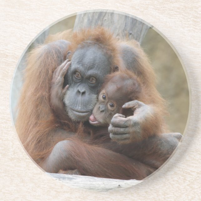 Orang Utan 001 Getränkeuntersetzer (Vorne)