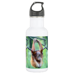 Orang Utan 028 Edelstahlflasche