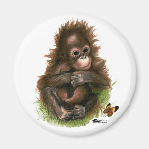 Orang-Utan-Baby und Schmetterling Magnet