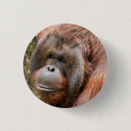 Orang-Utan Button