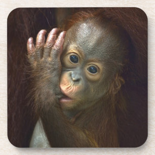 Orang-Utan Getränkeuntersetzer