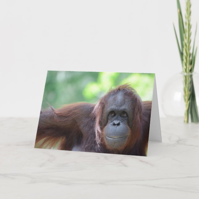Orang-Utan Gruß-Karte Karte (Vorderseite)
