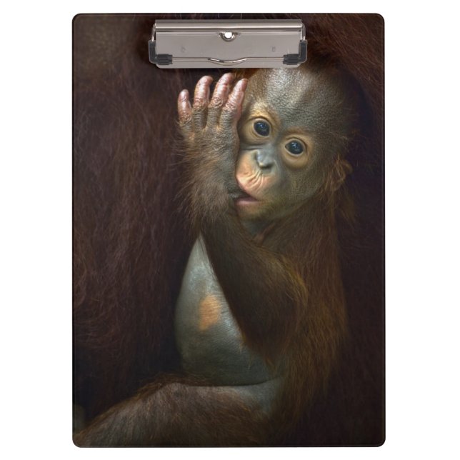 Orang-Utan Klemmbrett (Vorderseite)