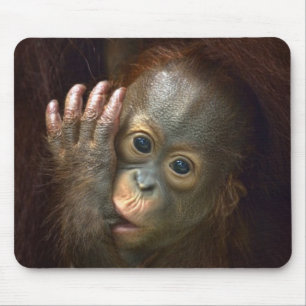Orang-Utan Mousepad
