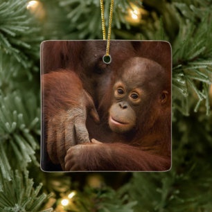 Orang-Utan-Mutter und Baby im Zoo Keramikornament
