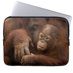 Orang-Utan-Mutter und Baby im Zoo Laptopschutzhülle