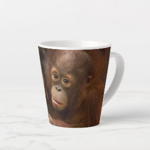 Orang-Utan-Mutter und Baby im Zoo Milchtasse