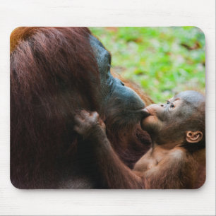 Orang-Utan-Mutter und Baby Mousepad