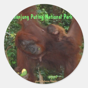 Orang-Utan Mutter und Baby Runder Aufkleber