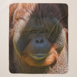 Orang-Utan-nah-up Sherpadecke