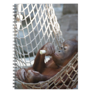 Orang-Utan Notizblock
