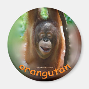 Orang-Utan offizieller Fan Magnet