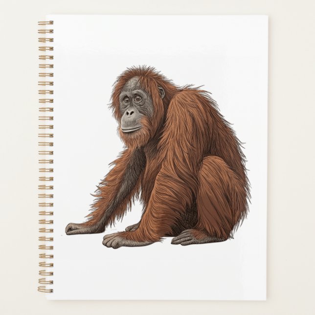 Orang-Utan Planer (Vorderseite)