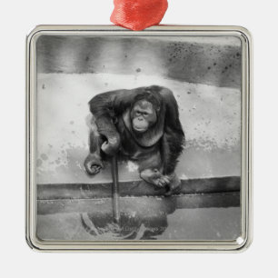 Orang-Utan Silbernes Ornament