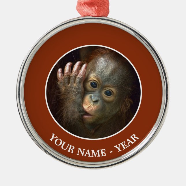 Orang-Utan Silbernes Ornament (Vorne)