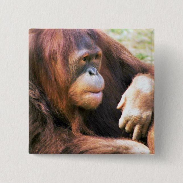 Orang-Utan Stützen Button (Vorderseite)