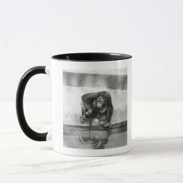 Orang-Utan Tasse (Links)