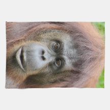 Orang-Utan Tee-Tuch
