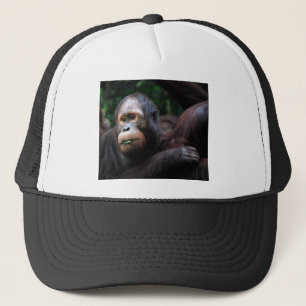 Orang-Utan Truckerkappe