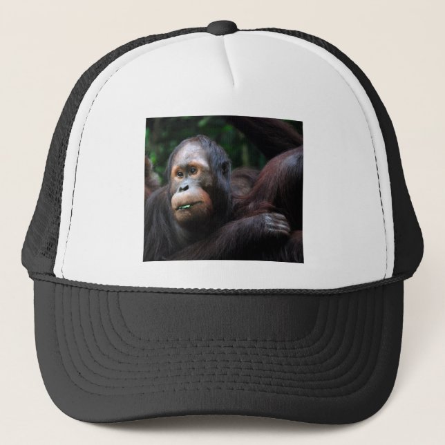 Orang-Utan Truckerkappe (Vorderseite)