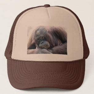 Orang-Utan Truckerkappe