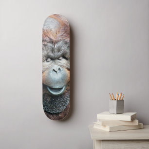 ORANG-UTANS SKATEBOARD