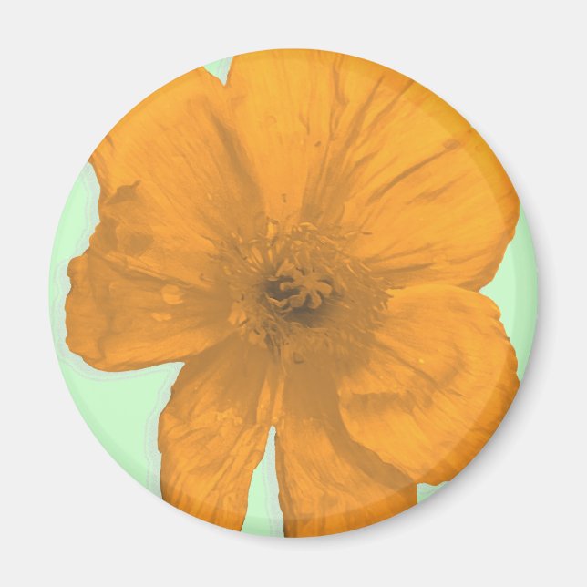 Orange Aid/PopArt-Blume Magnet (Vorne)
